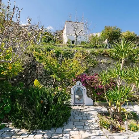 Holiday home Xenia Sea View Terrace *