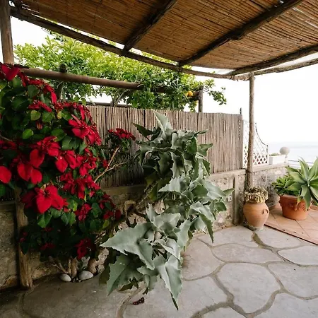 Xenia Sea View Terrace Holiday home *